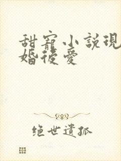 甜宠小说现言先婚后爱