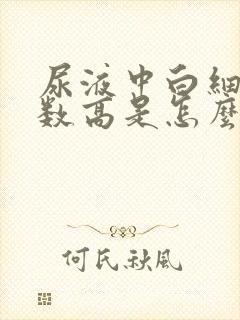 尿液中白细胞计数高是怎么回事