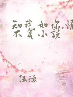 知我如你,情深不负小说