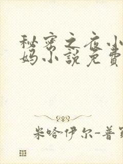 秘密之夜小宇后妈小说免费阅读全文