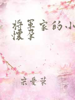 将军家的小娘子怀孕