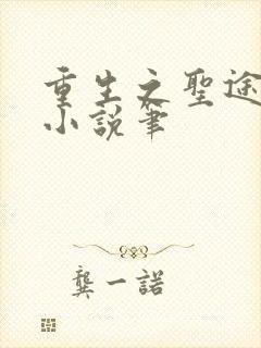 重生之圣途风流小说笔