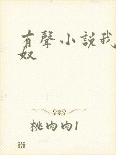 有声小说我妻如奴