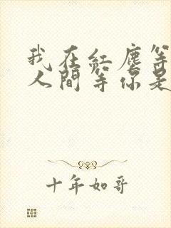 我在红尘等你,人间等你是什么歌