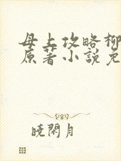 母上攻略柳如裳原著小说免费阅读