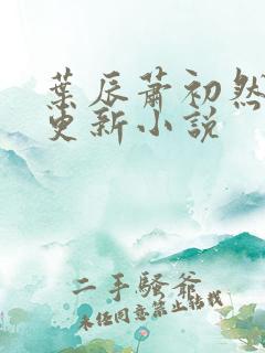 叶辰萧初然最快更新小说