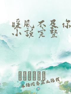 暖风不及你情深小说完整