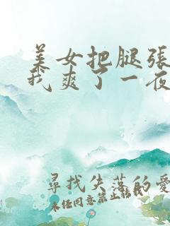 美女把腿张开让我爽了一夜