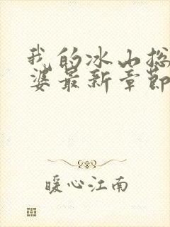 我的冰山总裁老婆最新章节阅读