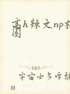 高h辣文np校园