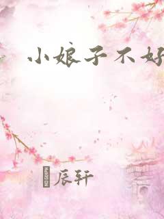 小娘子不好惹