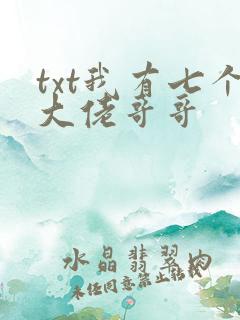 txt我有七个大佬哥哥