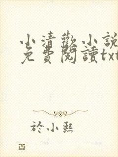 小清欢小说全文免费阅读txt