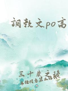 调教文po高h