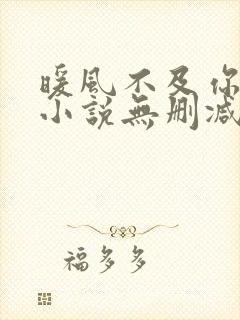 暖风不及你情深小说无删减在线阅读