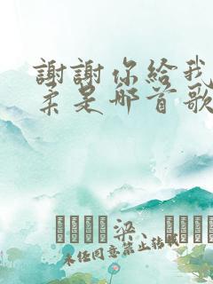 谢谢你给我的温柔是哪首歌的歌词