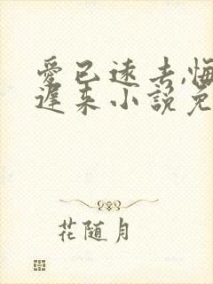 爱已远去,悔恨迟来小说免费阅读