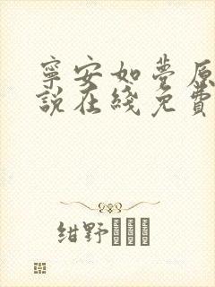 宁安如梦原著小说在线免费阅读