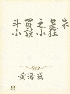 斗罗之是朱竹清小说小狂