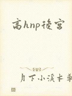 高hnp后宫
