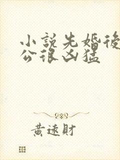 小说先婚后爱老公很凶猛