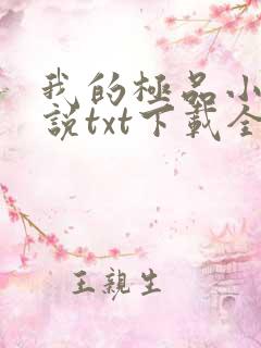 我的极品小姨小说txt下载全集