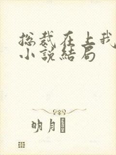 总裁在上我在下小说结局