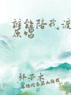 谁能陪我渡红尘原唱