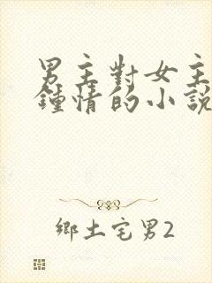 男主对女主一见钟情的小说