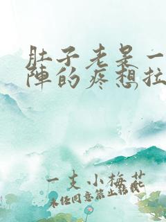 肚子老是一阵一阵的疼想拉屎