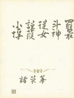 小说从斗罗开始俘获女神最新章节