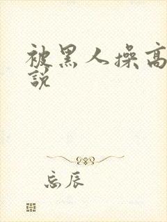 被黑人操高潮小说