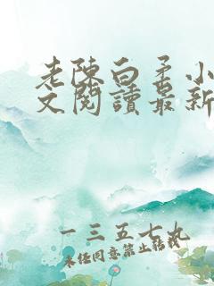 老陈白柔小说全文阅读最新章节内容