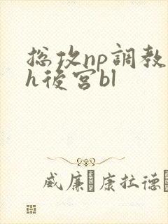 总攻np调教高h后宫bl