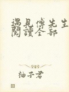 遇见傅先生免费阅读全部