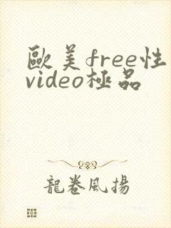 欧美free性video极品