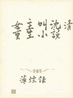 女主叫沈清梨的重生小说