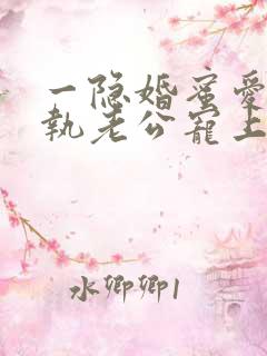 一隐婚蜜爱:偏执老公宠上瘾