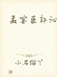 孟宴臣许沁小说