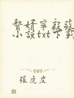 赘婿宁毅苏檀儿小说txt下载完整版