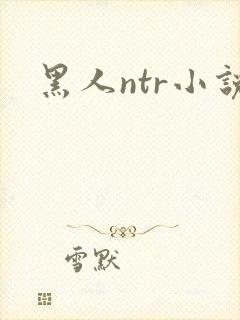 黑人ntr小说