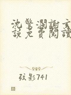 沈惊澜谢玄寂小说免费阅读最新章节