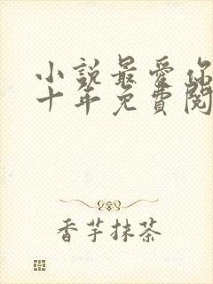 小说最爱你的那十年免费阅读