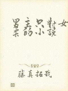 男主只对女主温柔的小说