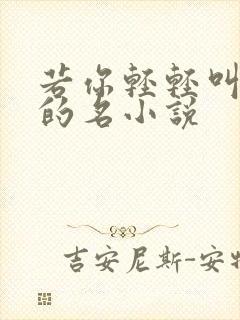 若你轻轻叫着我的名小说