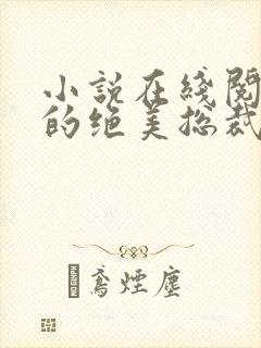 小说在线阅读我的绝美总裁老婆