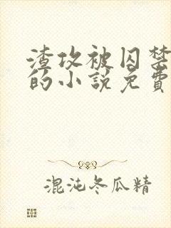 渣攻被囚禁反攻的小说免费阅读