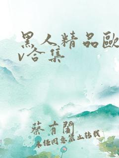黑人精品欧美av合集