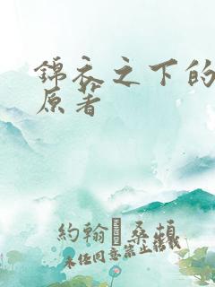 锦衣之下的小说原著