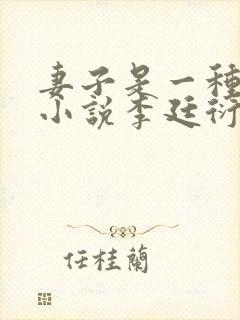 妻子是一种感觉小说李廷衍温芙